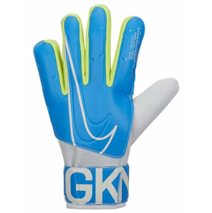 Nike NK GK Match FA19 6