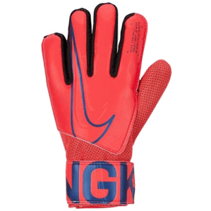 Nike NK GK MATCH JR-FA19 5