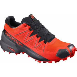 Salomon Speedcross 5 GTX M 46 EUR