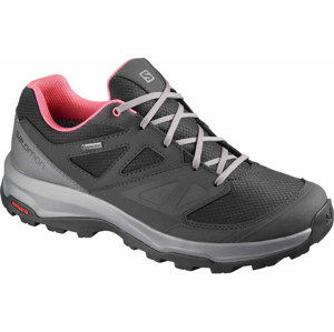 Salomon Torridon GTX W 38 EUR