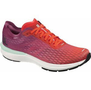 Salomon Sonic 3 Accelerate M 44 EUR