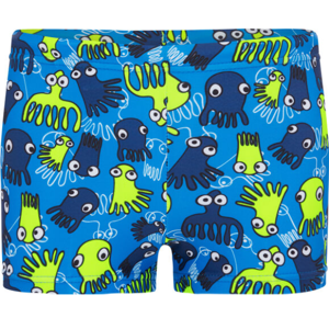 Firefly Antony Swim Shorts B 104