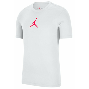 Nike Jordan Jumpman Dri-FIT L