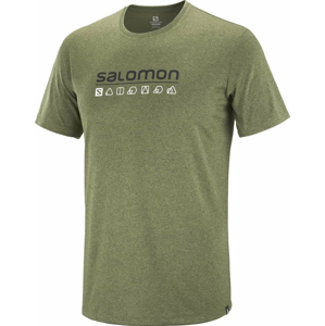 Salomon Agile Graphic Tee M XL