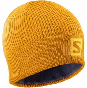 Salomon Logo Beanie