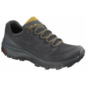 Salomon Outline GTX M 42 2/3 EUR