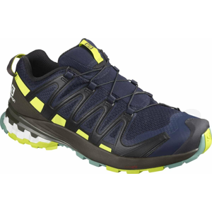 Salomon XA PRO 3D V8 M 43 1/3 EUR