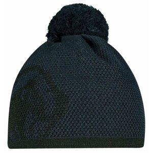 Mammut Snow Beanie