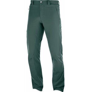 Salomon Wayfarer Alpine Pant M 52