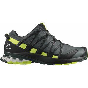 Salomon XA PRO 3D V8 GTX M 42 EUR