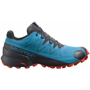 Salomon Speedcross 5 GTX M 45 1/3 EUR