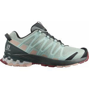 Salomon XA PRO 3D V8 W 38 EUR