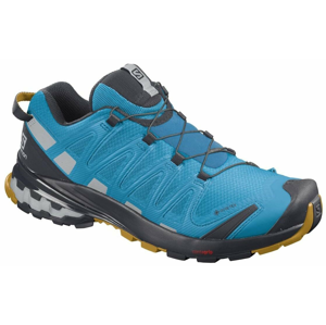 Salomon XA PRO 3D V8 GTX M 42 EUR