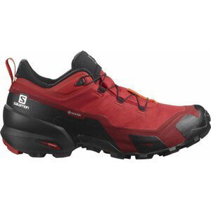 Salomon Cross Hike GTX M 42 EUR