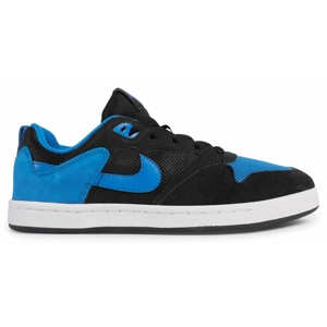 Nike SB Alleyoop M 41 EUR