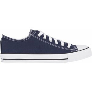 Firefly Canvas Low IV 46 EUR