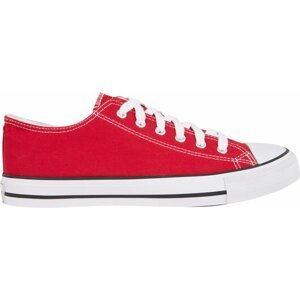 Firefly Canvas Low IV 40 EUR
