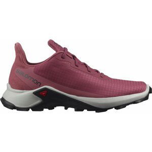 Salomon Alphacross 3 W 38 EUR