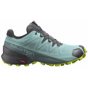 Salomon Speedcross 5 GTX W 38 EUR