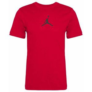 Nike Jordan Jumpman Dri-FIT L