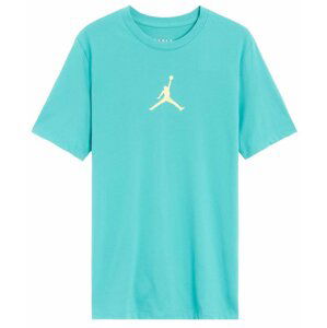 Nike Jordan Jumpman Dri-FIT L