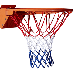 Wilson NBA DRV Basketball net