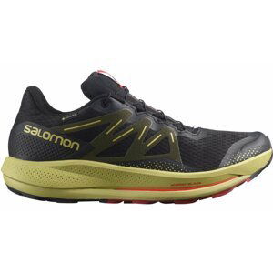 Salomon Pulsar Trail Gore-Tex M 44 EUR