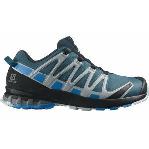 Salomon XA PRO 3D V8 GTX M 49 1/3 EUR