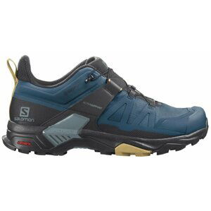 Salomon X Ultra 4 GTX M 43 1/3 EUR