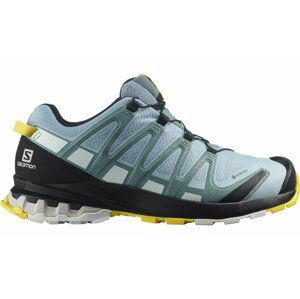 Salomon XA PRO 3D V8 GTX W 40 2/3 EUR