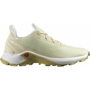 Salomon Alphacross 3 W 42 EUR