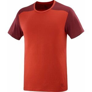 Salomon Essential Colorbloc T-Shirt M L
