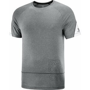 Salomon Cross Run Graphic T-Shirt M M