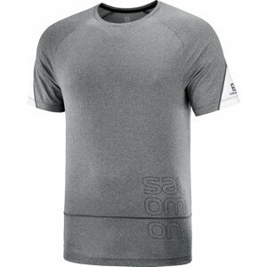 Salomon Cross Run Graphic T-Shirt M L