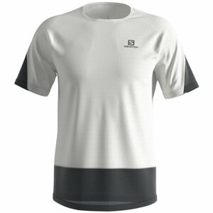 Salomon Cross Run T-Shirt M S