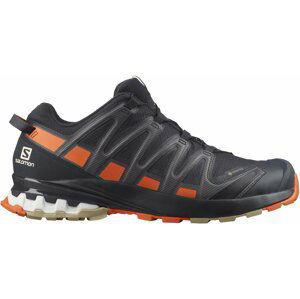 Salomon XA PRO 3D V8 GTX M 43 1/3 EUR