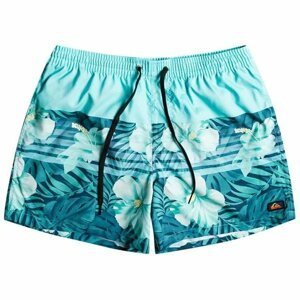 Quiksilver M Everyday Floral Stripe 15 S