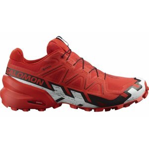 Salomon Speedcross 6 GTX M 42 2/3 EUR