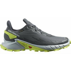 Salomon Alphacross 4 GTX M 42 EUR