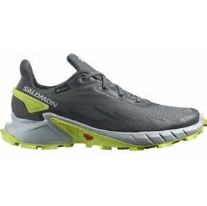 Salomon Alphacross 4 GTX M 44 2/3 EUR