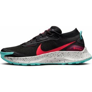 Nike Pegasus Trail 3 GTX M 46 EUR