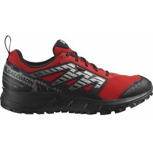 Salomon Wander GTX M 40 2/3 EUR