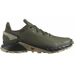 Salomon Alphacross 4 GTX M 47 1/3 EUR