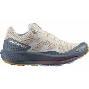 Salomon Pulsar Trail W 40 2/3 EUR