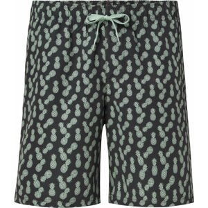 Firefly Nicolas III Swim Shorts M