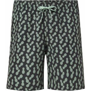 Firefly Nicolas III Swim Shorts L