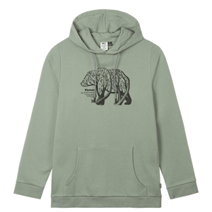 Picture d&s bear branch hoodie M