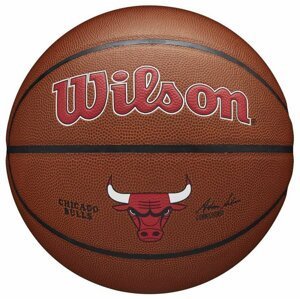 Wilson NBA Team Composite Chicago Bulls 07
