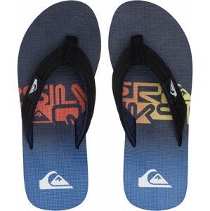 Quiksilver Molokai Layback 40 EUR