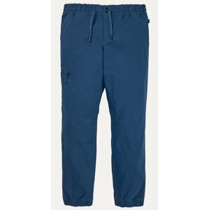 Burton Ridge Jogger Pants 30